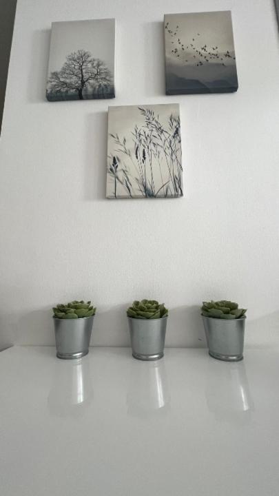 Apartma Rakita Moravske Toplice Esterno foto